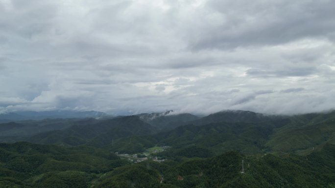 暴雨将至