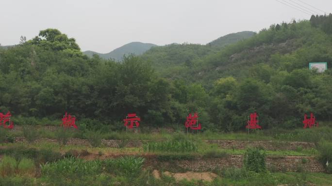 花椒基地 花椒养殖 乡村振兴 农民形象