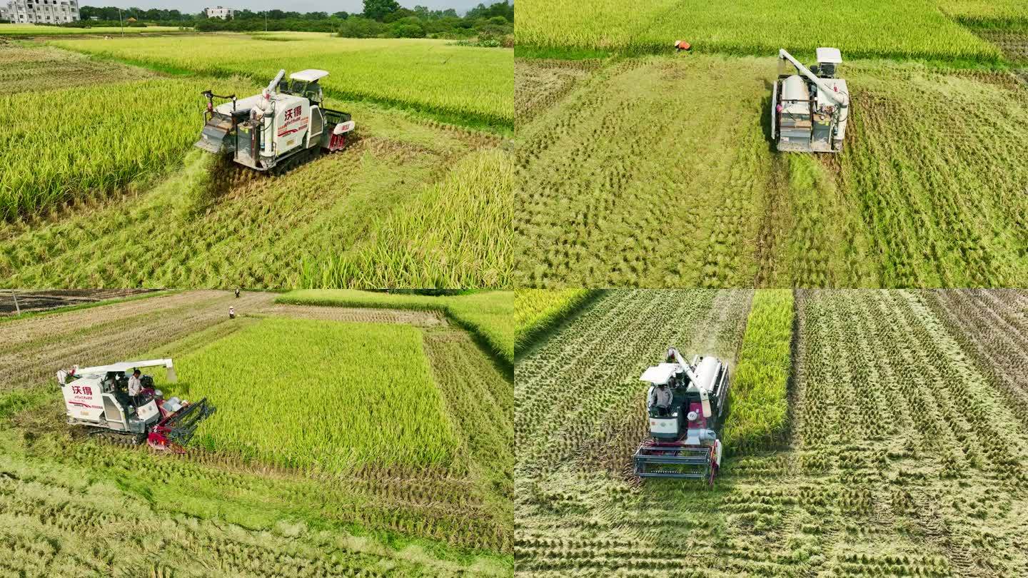 收割机 机械化 收割水稻农业耕种农民丰收