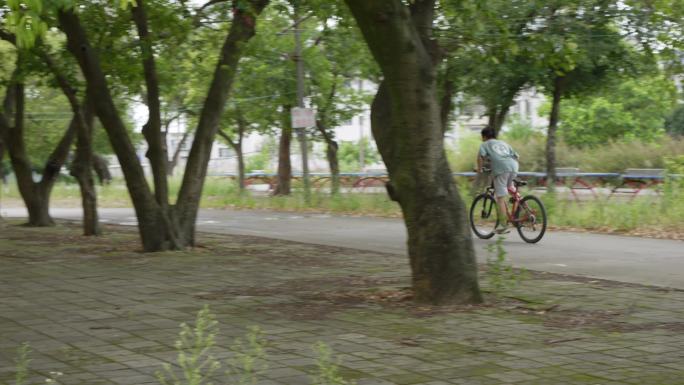 骑自行车的少年