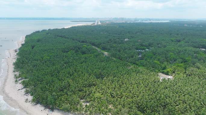 海南文昌椰林海边沙滩海岸线航拍03