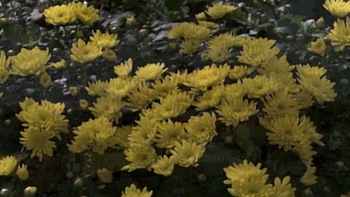 北京 天安门 长安街