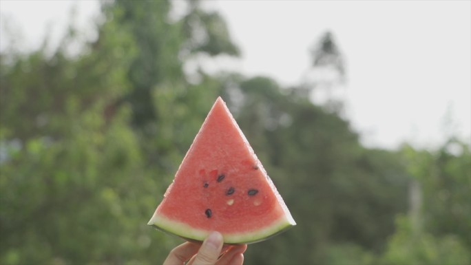 夏天西瓜炎热盛夏酷暑解暑手拿西瓜清凉一夏