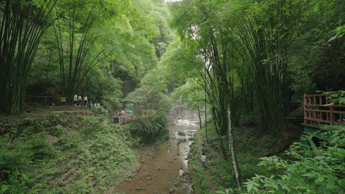 邛崃川西竹海