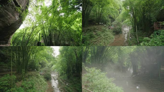 邛崃川西竹海