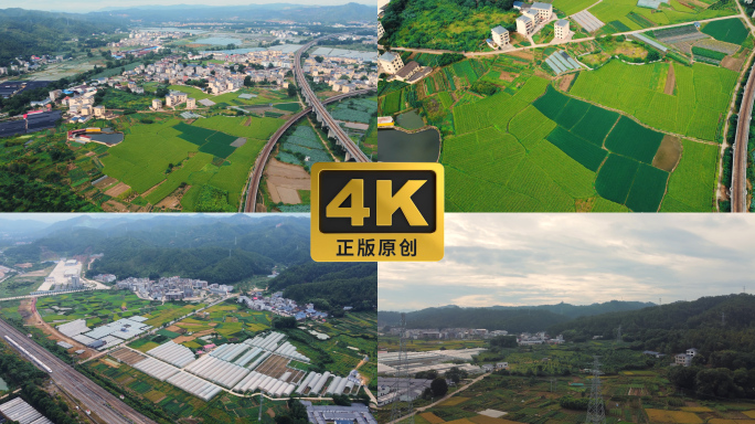 航拍美丽乡村 稻田乡村振兴