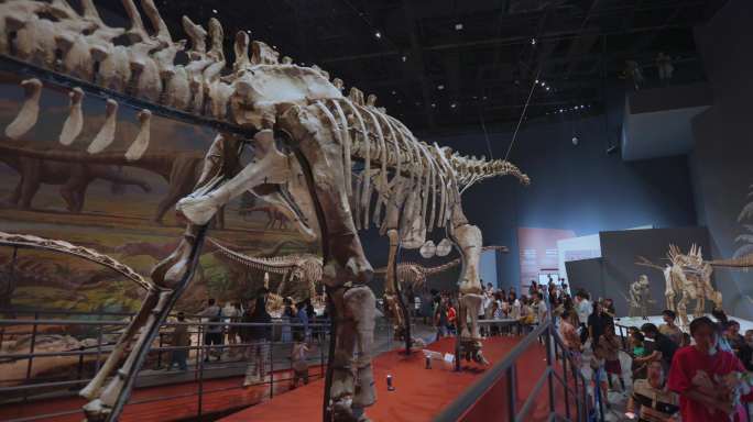 恐龙化石展览馆8k