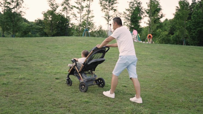 父亲推着儿童车在草地上行走