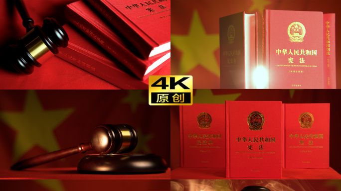 4k刑法宪法民法典带法槌展示