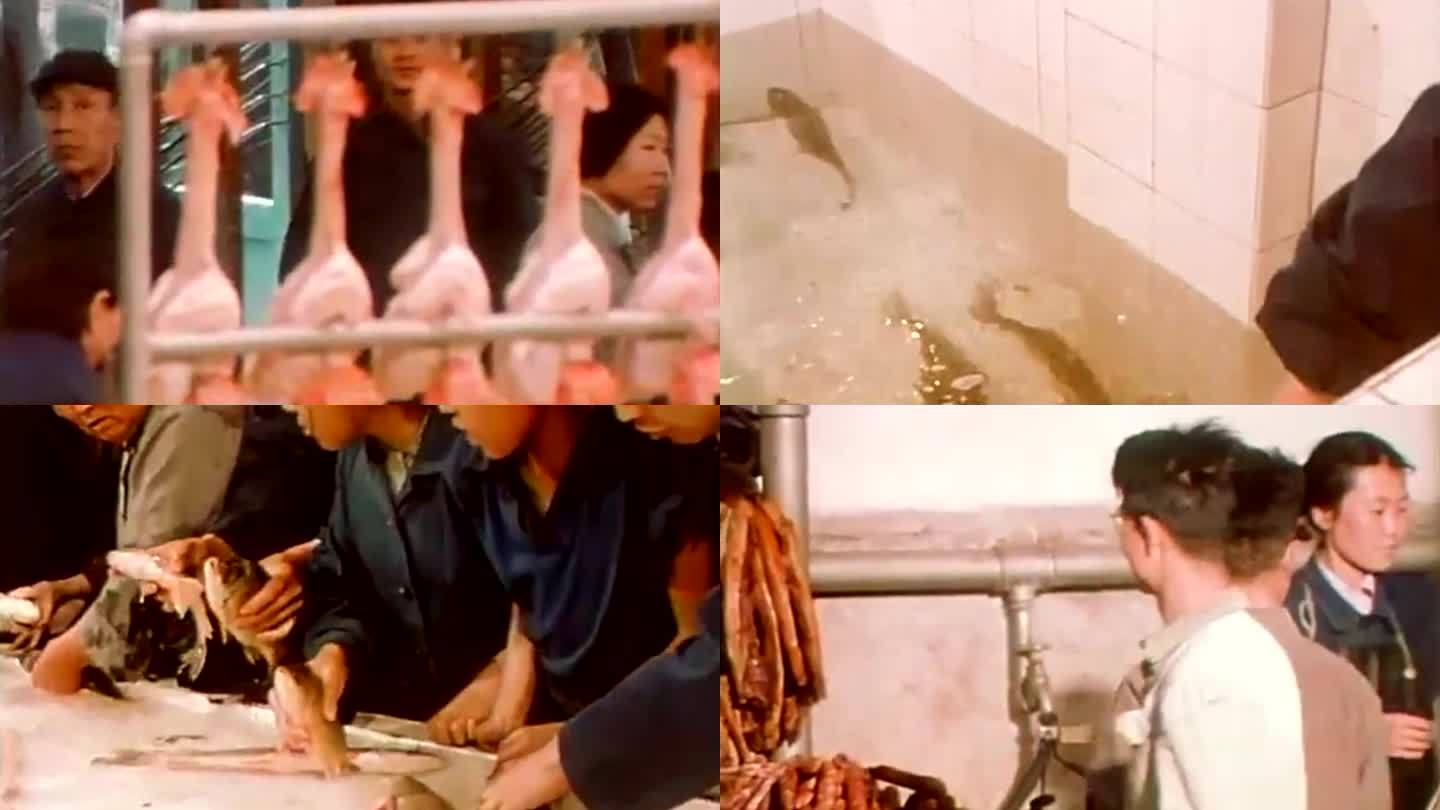 70年代 北京城生禽市场 鸡鸭鱼肉