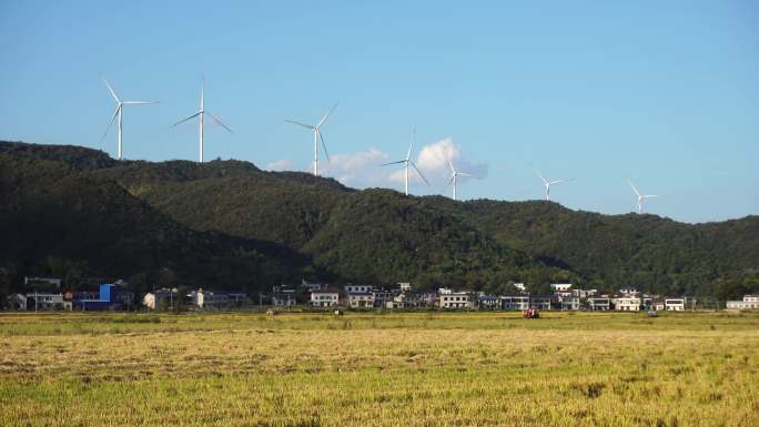 稻田丰收和山上的风力发电风车