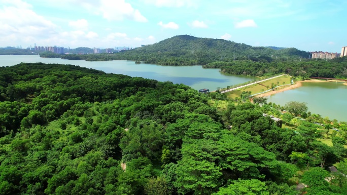 深圳铁岗水库航拍