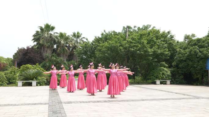 老年妇女居民广场舞健身文体运动跳舞舞蹈