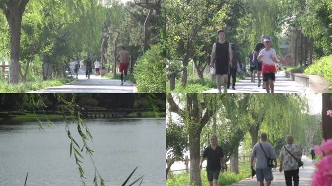 河边晨跑骑自行车户外运动公园锻炼绿道骑行