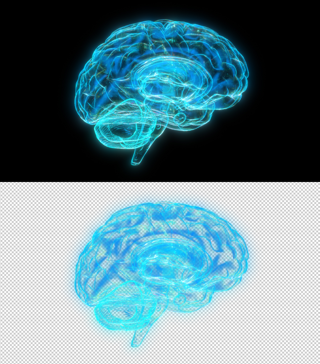 大脑全息影像（带透明通道）