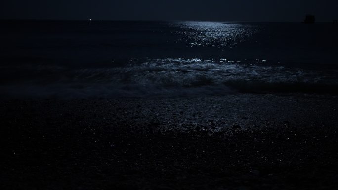 海边夜景海浪延时