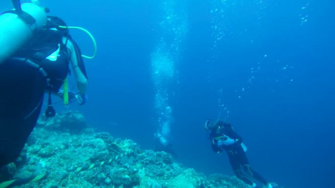 海边度假 深水潜水 沙滩玩耍