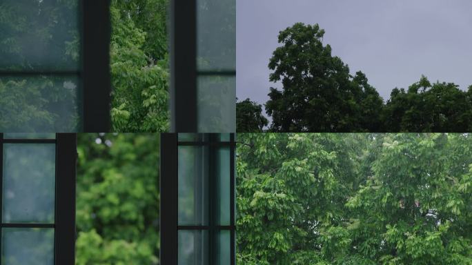 狂风暴雨大风大雨