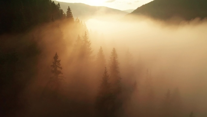 多雾的黎明在山上.美丽的风景 