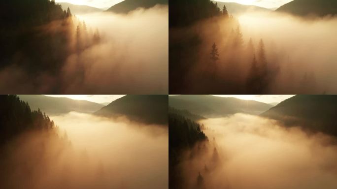 多雾的黎明在山上.美丽的风景 