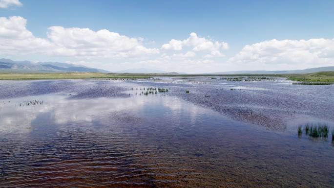 青海湖湿地航拍