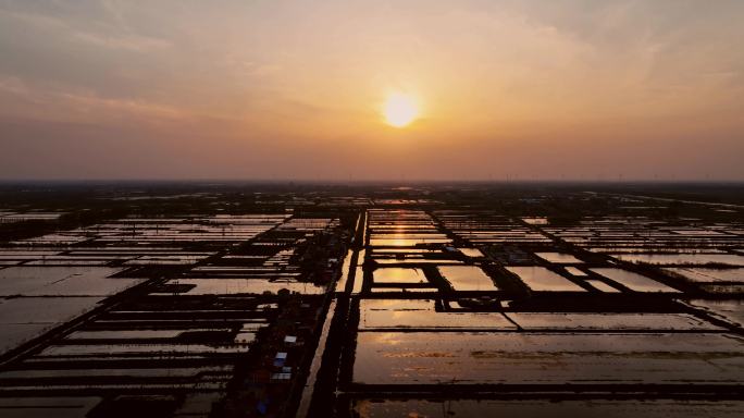 5K60P稻田田野湖泊夕阳湿地航拍