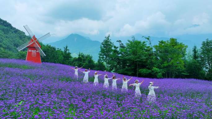 成都彭州龙门山镇熊猫香山马鞭草花海