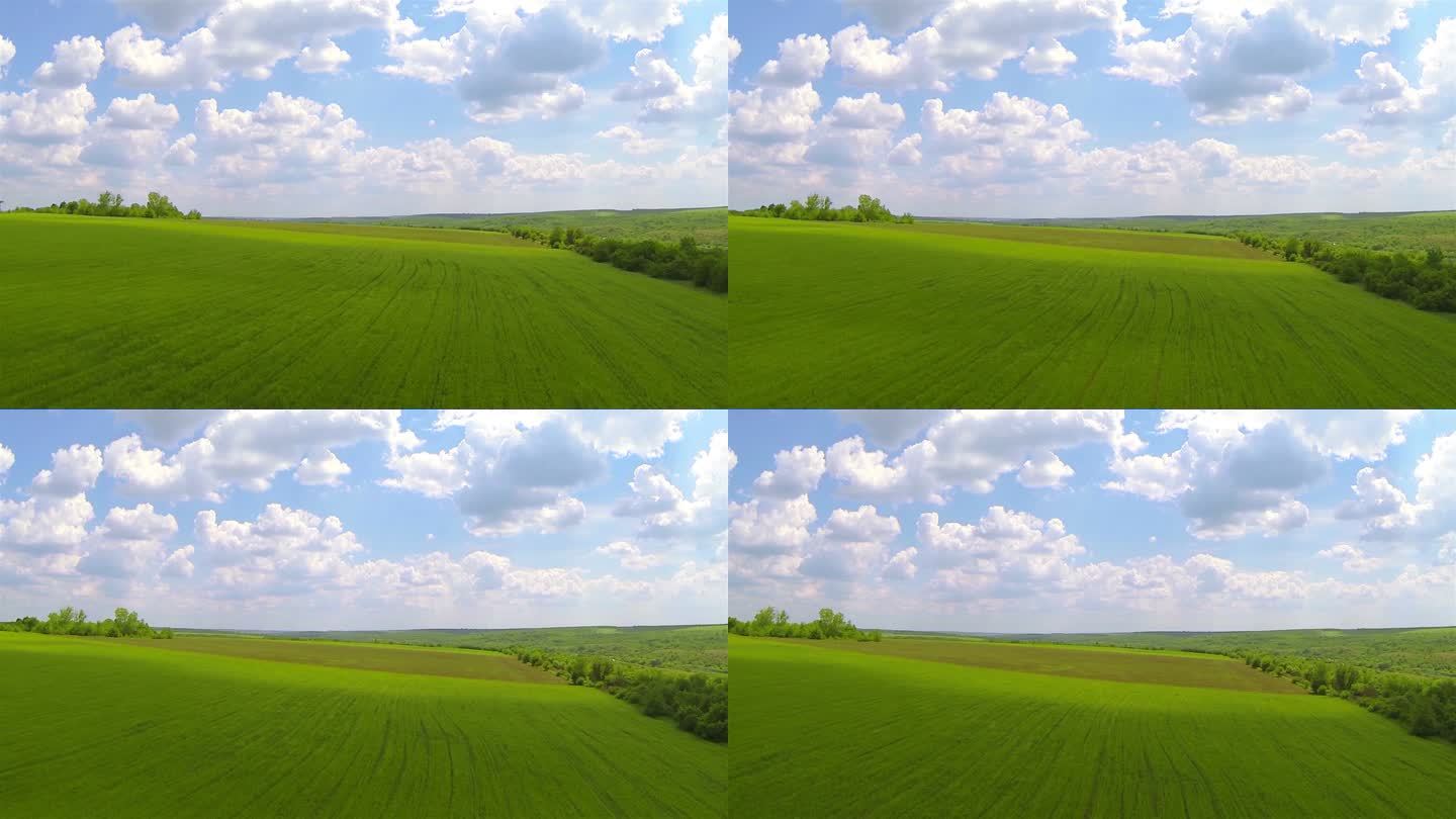 美丽的绿色的田野和云。空中