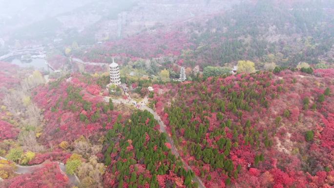 山东济南南部山区红叶谷秋天航拍