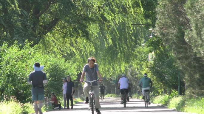 骑行晨跑户外绿道阳光森林骑自行车氧吧环保