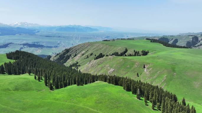 新疆伊犁州特克斯县喀拉峻雪山草原风光