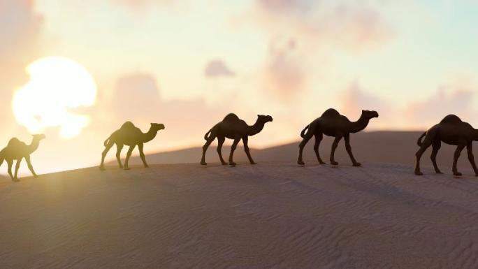 夕阳日落下的沙漠骆驼队剪影