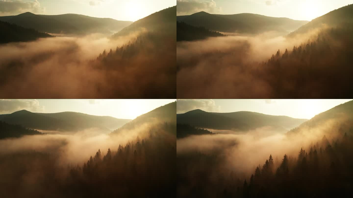 多雾的黎明在山上.美丽的风景 