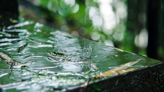 下雨雨季雨滴夏天谷雨清明水滴唯美空镜升格