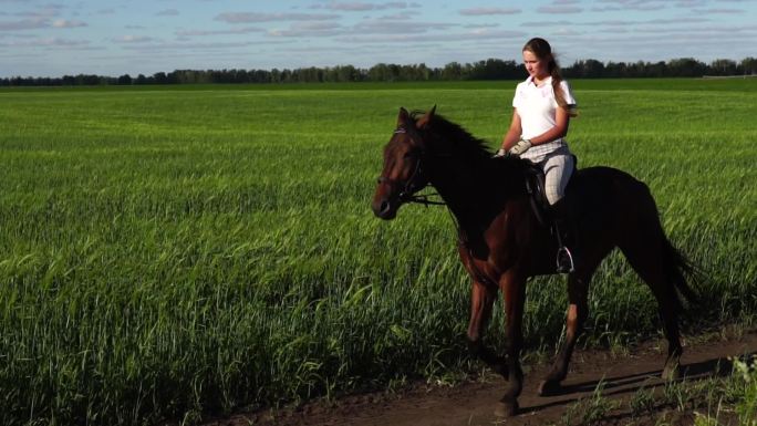 年轻女子骑手骑着马在球场上