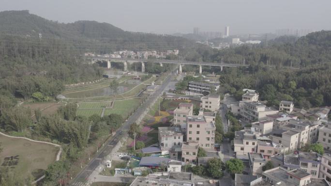 黄埔麦村