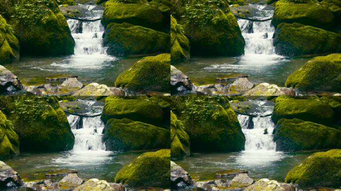 野生景观中的小瀑布