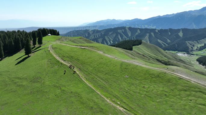 4K新疆乌鲁木齐放牧自然风光