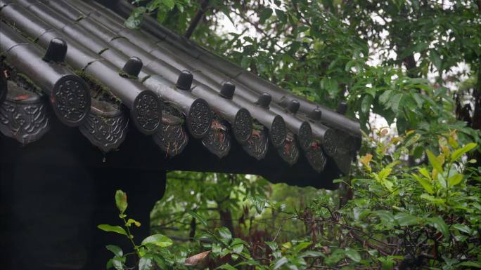 4K重庆雨天下雨实拍22