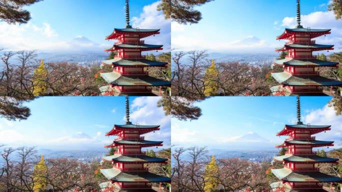  时间流逝的美丽的富士山与秋天的颜色在日本