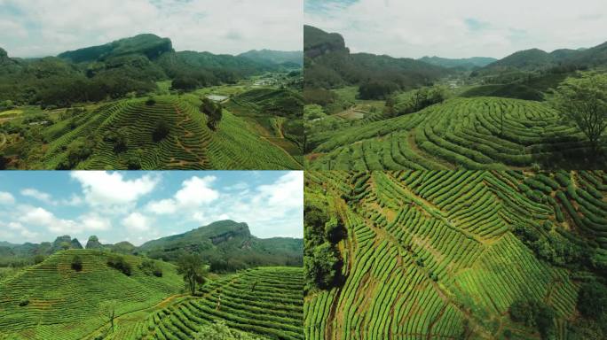 武夷山茶山4k航拍素材