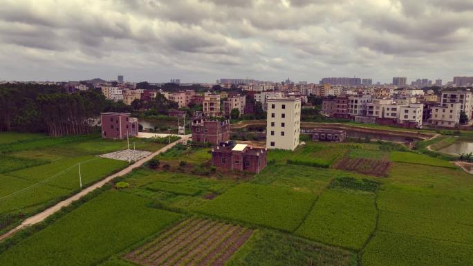 航拍粤西地区乡村生态农业