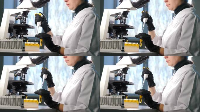 在与试管合作的过程中，用微型管道拍摄《手套》研究人员的女性手的特写镜头。创新药物实验室配备现代遗传学