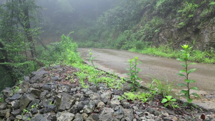 驾驶车辆多视角路上风景