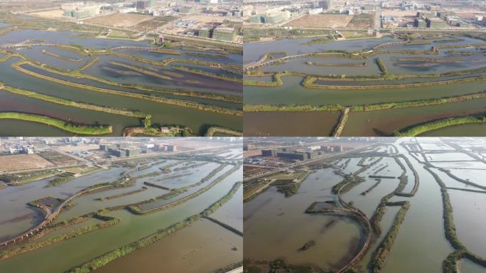 珠海大门口湿地公园17