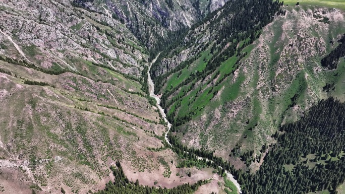 新疆伊犁州特克斯县喀拉峻草原峡谷风光