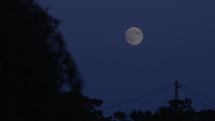 宁静的夜 圆月