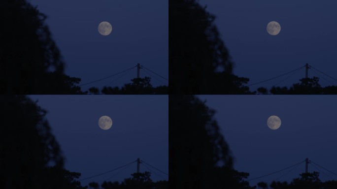宁静的夜 圆月