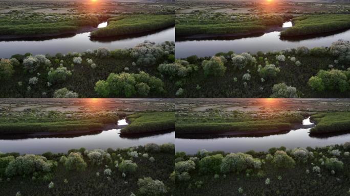 山丁子花盛开的湿地阳光河湾