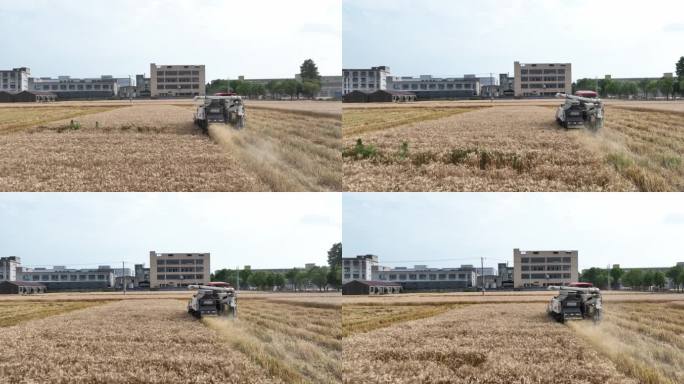 自动收割机收割小麦航拍